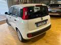 Fiat Panda Panda III  1.2 Easy Wit - thumbnail 11