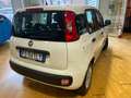 Fiat Panda Panda III  1.2 Easy Wit - thumbnail 16