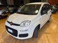 Fiat Panda Panda III  1.2 Easy Wit - thumbnail 6