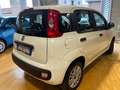 Fiat Panda Panda III  1.2 Easy Wit - thumbnail 18