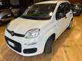 Fiat Panda Panda III  1.2 Easy Wit - thumbnail 3