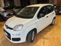 Fiat Panda Panda III  1.2 Easy Wit - thumbnail 4