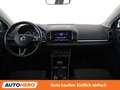 Skoda Karoq 1.0 TSI Style Limited Grau - thumbnail 12