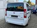 Fiat Scudo 2.0 MJT/165 Panorama Executive 8 posti (M1) Blanc - thumbnail 6