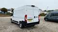 Fiat Ducato Kasten L2H2*KLIMA*CAM*PDC*DAB*BLUETOOTH Weiß - thumbnail 26