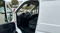 Fiat Ducato Kasten L2H2*KLIMA*CAM*PDC*DAB*BLUETOOTH Weiß - thumbnail 10