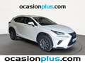 Lexus NX 300 300h Business 2WD Blanc - thumbnail 2