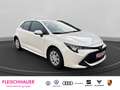 Toyota Corolla 1.2 Klima Bluetooth Tempomat Taglicht-LED Blanc - thumbnail 8