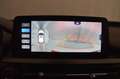 DR Automobiles DR5.0 1.5 turbo 154cv cvt - CAMPAGNA KM0 LUGLIO 2025 Rot - thumbnail 12