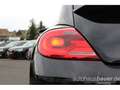 Volkswagen Beetle 1.4l TSI Remix *Klima,Tempomat,SHZ,Parkpilot* Noir - thumbnail 23