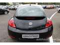 Volkswagen Beetle 1.4l TSI Remix *Klima,Tempomat,SHZ,Parkpilot* Negro - thumbnail 3
