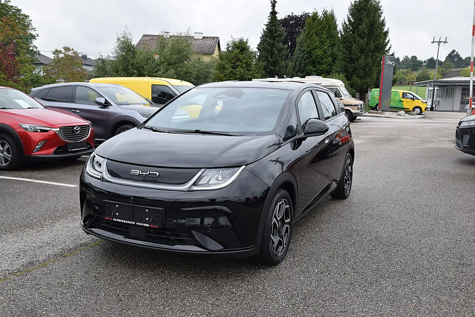 BYD Dolphin 60,4 kWh Comfort Öster. Paket **8 Fach Bereift,... Schwarz - 1