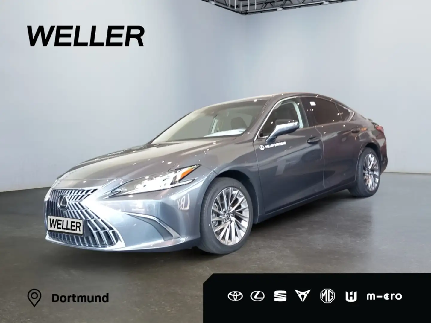 Lexus ES 300 h Luxury Line *360 Cam*LED*HUD*Sitzklimatisierung* Серый - 1