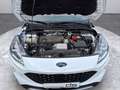 Ford Kuga 2.0 Cool & Connect 4x4 Autmatik AHK 1.HD Weiß - thumbnail 24