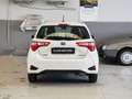 Toyota Yaris 3ª serie 1.5 Hybrid 5 porte Active Blanc - thumbnail 4