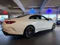 Mercedes-Benz CLS 350 CLS-Klasse CLS 350 d 4Matic Edition 1 Weiß - thumbnail 12