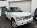 Land Rover Range Rover TDV8 3.6 * VOGEU * LICHTE VRACHT - thumbnail 2