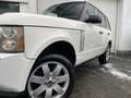 Land Rover Range Rover TDV8 3.6 * VOGEU * LICHTE VRACHT - thumbnail 11