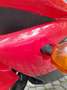 Honda Fireblade cbr1000rr sc 57 Rouge - thumbnail 12