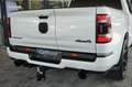 Dodge RAM RAM 1500 Crew Cab. DT Limited Weiß - thumbnail 9