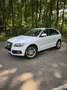 Audi Q5 Q5 2.0 TDI 170 DPF Quattro Avus Blanc - thumbnail 1