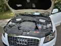 Audi Q5 Q5 2.0 TDI 170 DPF Quattro Avus Blanc - thumbnail 4
