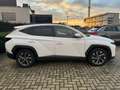 Hyundai TUCSON TUCSON 1.6 T-GDi 48V-Hybrid Bianco - thumbnail 11