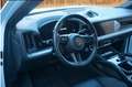 Porsche Cayenne E-Hybrid Weiß - thumbnail 2
