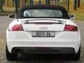 Audi TT TT Roadster 2.0 TFSI 200CV S line/BOSE/CUIR/XENON Weiß - thumbnail 5