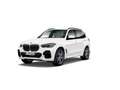 BMW X5 xDrive 30dA Blanco - thumbnail 3