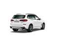 BMW X5 xDrive 30dA Blanco - thumbnail 11