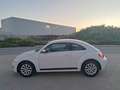 Volkswagen Beetle 1.6TDI Design 105 Blanco - thumbnail 15