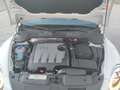 Volkswagen Beetle 1.6TDI Design 105 Blanco - thumbnail 12