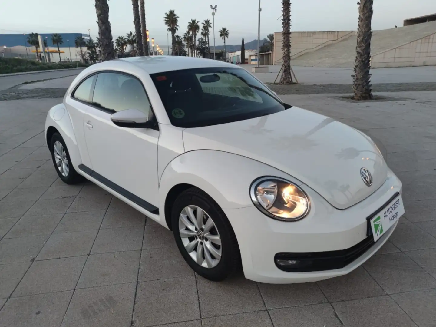 Volkswagen Beetle 1.6TDI Design 105 Blanco - 1