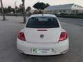 Volkswagen Beetle 1.6TDI Design 105 Blanco - thumbnail 16