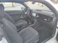 Volkswagen Beetle 1.6TDI Design 105 Blanco - thumbnail 19