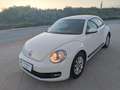 Volkswagen Beetle 1.6TDI Design 105 Blanco - thumbnail 2