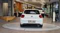 Volkswagen Polo Polo 1.0 TSI R-Line *Winter Paket*Apple*16Zoll*LED Weiß - thumbnail 11
