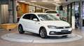 Volkswagen Polo Polo 1.0 TSI R-Line *Winter Paket*Apple*16Zoll*LED Weiß - thumbnail 15