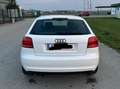 Audi A3 A3 1,9 TDI e DPF Weiß - thumbnail 4