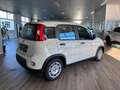 Fiat Panda 1.0 GSE Hybrid Bianco - thumbnail 6