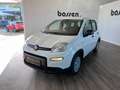 Fiat Panda 1.0 GSE Hybrid Bianco - thumbnail 3