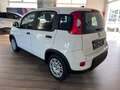 Fiat Panda 1.0 GSE Hybrid Bianco - thumbnail 5