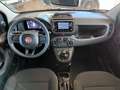 Fiat Panda 1.0 GSE Hybrid Bianco - thumbnail 11