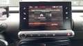 Citroen C4 Cactus BUSINESS bluehdi 100 ss bvm6 feel Blanc - thumbnail 20