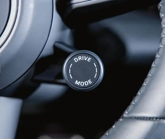 Porsche Macan Macan Turbo Electric 95kWh Voll auch andere kurzfr Ansicht 22