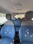Fiat Panda Panda 2014 1.3 mjt 16v Lounge 75cv E5 2 PROP. NEOP Blu/Azzurro - thumbnail 15