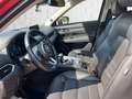 Mazda CX-5 Sports-Line AWD Rot - thumbnail 6