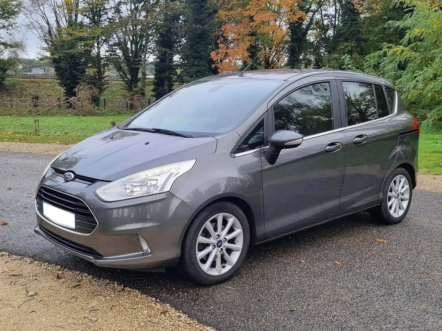 Ford B-Max 1.0 SCTI 125 ECOBOOST STOP\u0026START TITANIUM Gris - 1