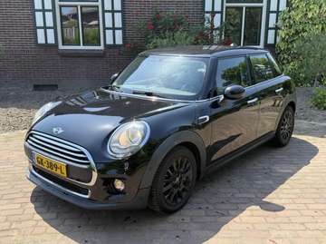 Mini 1.2 Business